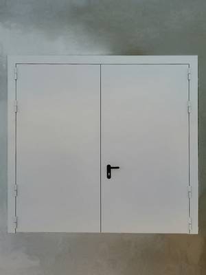 Двупольная дверь с наружной стороны (коттеджный поселок, Истринский р-н) Двупольная дверь с наружной стороны (коттеджный поселок, Истринский р-н)