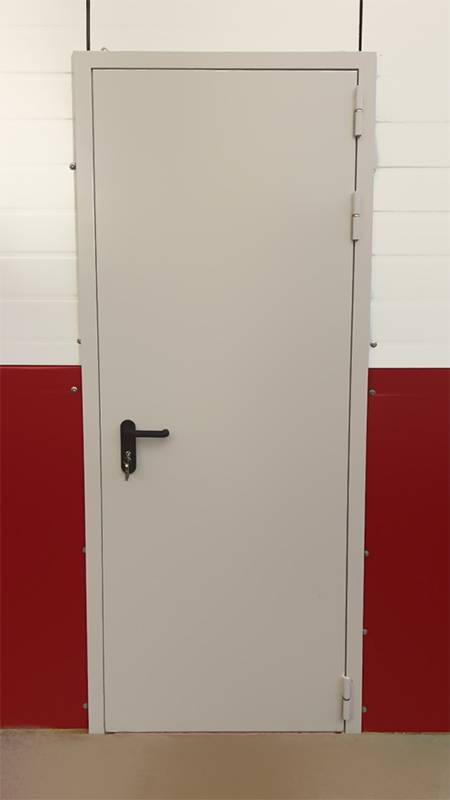 Глухая однопольная дверь (р-н Митино, ул. Барышиха, д.49)