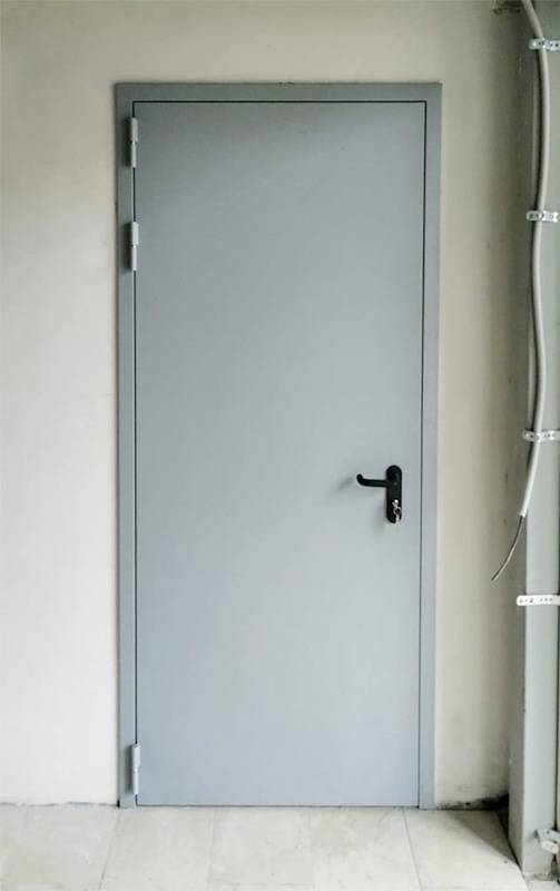 Однопольная дверь, фото снаружи (село Левково)