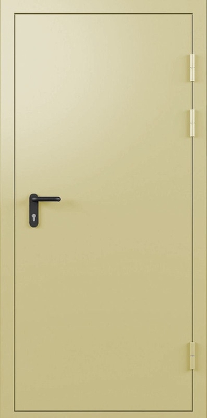 Однопольная глухая дверь EI 30 Однопольная глухая противопожарная дверь EI 30 RAL 1014 (не стандарт) (03)