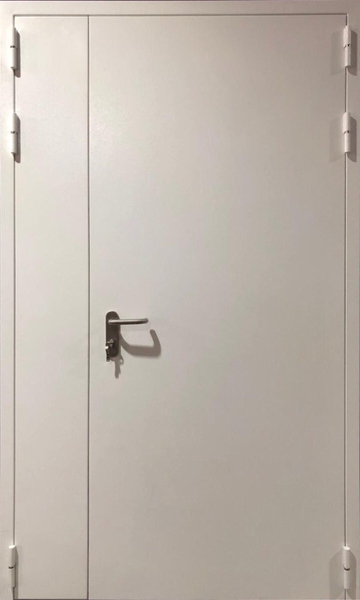 Полуторная глухая противопожарная дверь EI 90 03 (порошковое напыление)